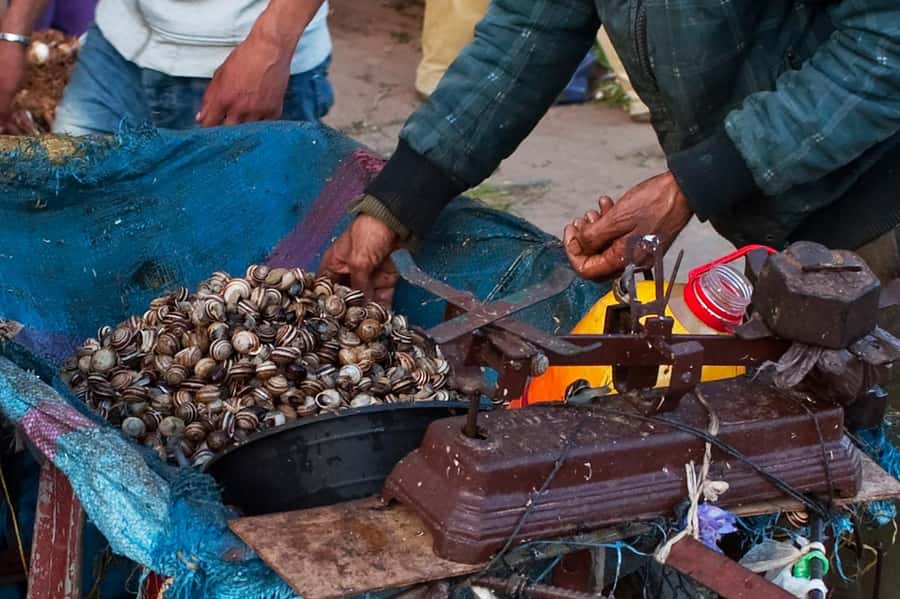 From Marrakech: Essaouira & Atlantic Coast Full-Day Trip - The medina at your own pace: Portuguese streets, thuya wood, and Gnaoua music