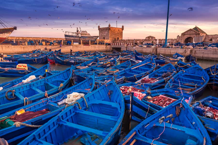 From Marrakech: Essaouira & Atlantic Coast Full-Day Trip - Argan oil stop: the women’s cooperative behind liquid gold