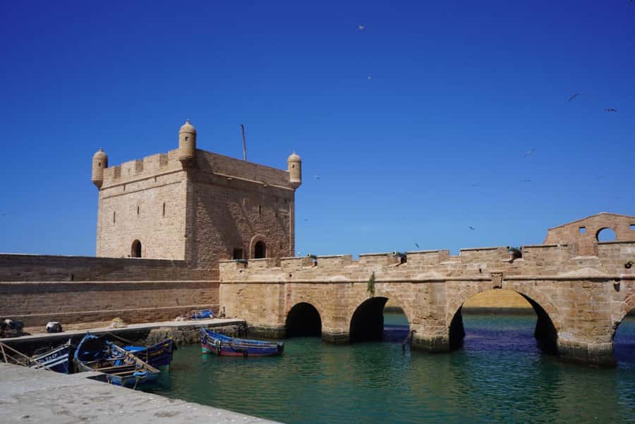 From Marrakech: Essaouira Day Trip with Hotel Pickup - The argan cooperative stop: real process, plus tastings and shopping