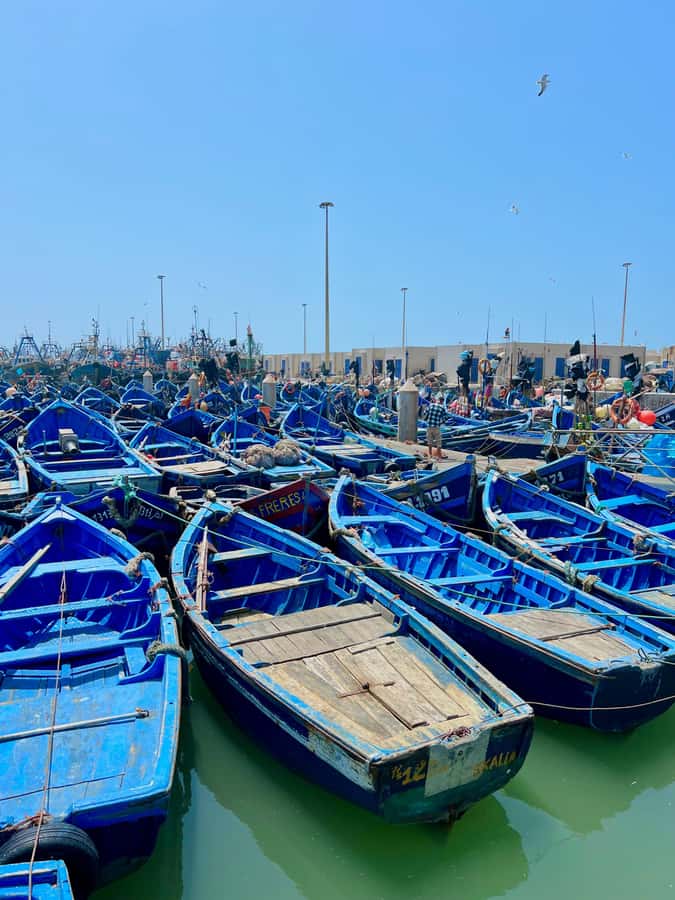 From Marrakech: Essaouira Day Trip with Hotel Pickup - Haouz plains to Chichaoua coffee break: an easy rhythm before the coast