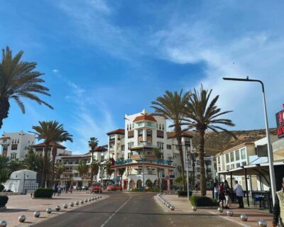 From Marrakech: Full-Day Trip to Agadir - Crocoparc: crocodiles, monkeys, and the fun factor