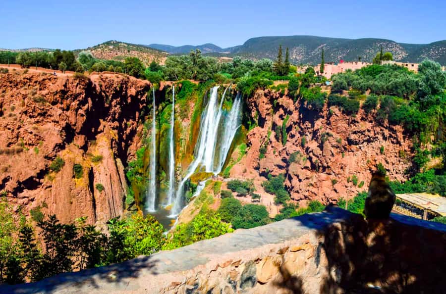 From Marrakech: Guided Ouzoud Waterfalls Tour with Boat Ride - Lunch Overlooking the Falls: Where the Break Feels Like Part of the Show