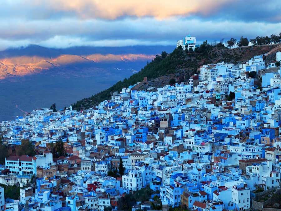 From Marrakech: Imperial Cities of Morocco 3-Day Tour - Crossing the Atlas and Spotting Baboon Monkeys