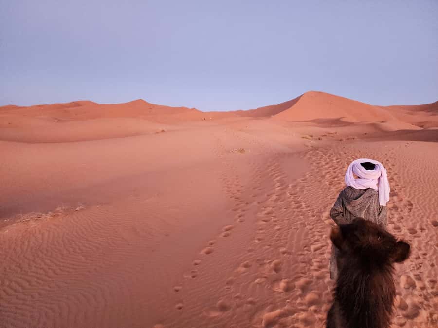 From Marrakech: Merzouga 4 Day Luxury Tour w/ Optional Quad - Food, water, and money rules that keep your day stress-free