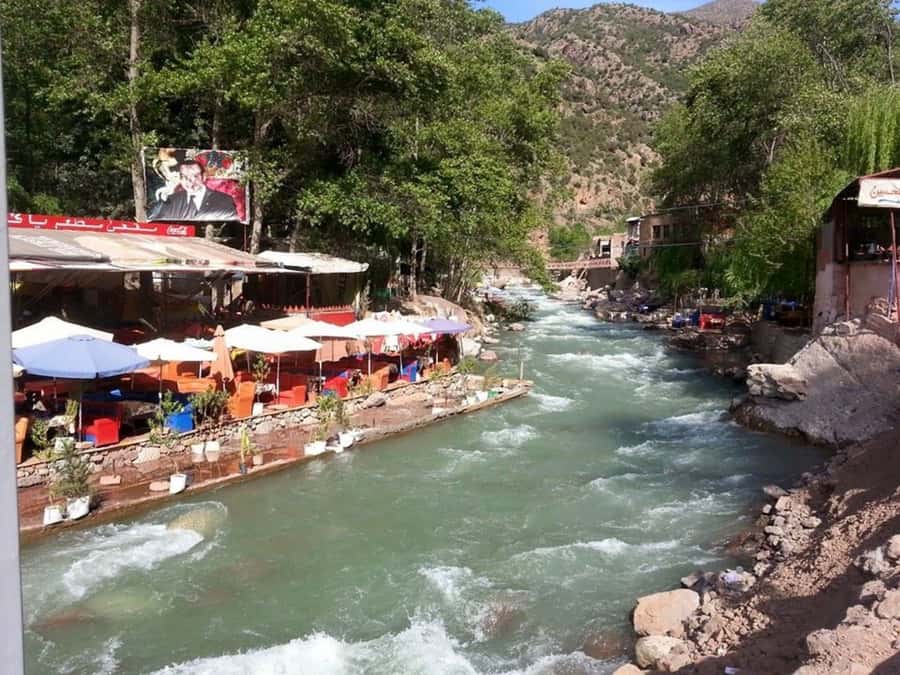 From Marrakech: Ourika Valley & Atlas Mountains Waterfalls - Price and value: is $16 a deal you should trust?