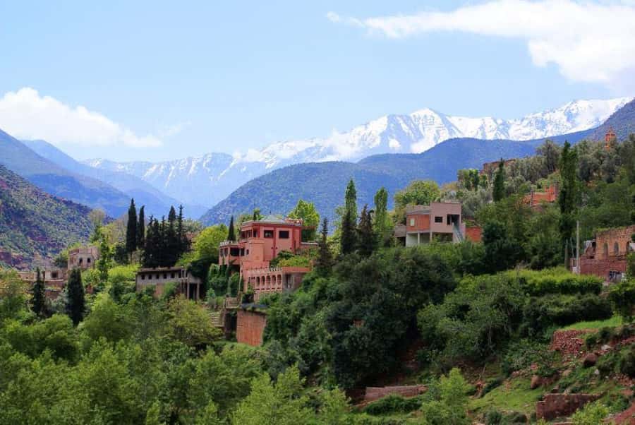 From Marrakech: Ourika Valley & Atlas Mountains Waterfalls - Lunch by the Ourika River: comfort after the steps