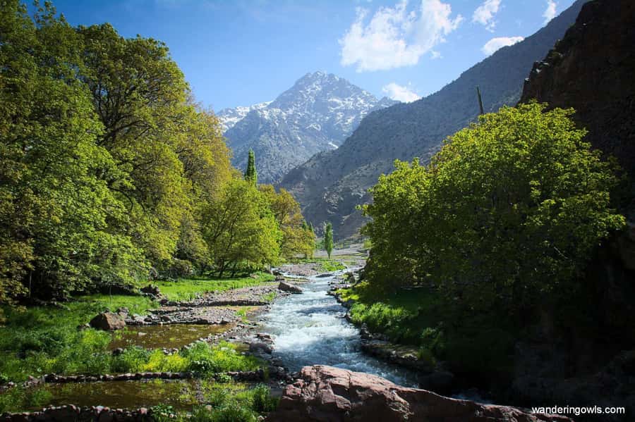 From Marrakech: Ourika Valley Day Trip with Lunch - Key things I’d mark on your mental map