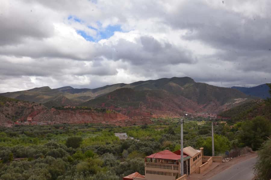 From Marrakech: Ourika Valley Day Trip with Lunch - Argan oil women’s co-operative: supporting a craft with a purpose
