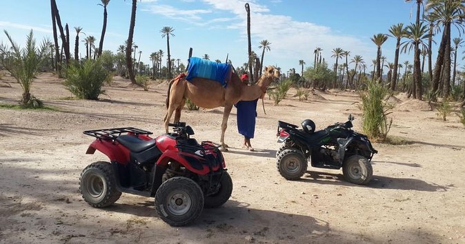 From Marrakech: Palm Grove Quad Bike and Camel Ride Tour - Quad Bikes Through Palmeraie: Why This Tour Works