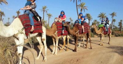 From Marrakech: Palm Grove Quad Bike and Camel Ride Tour - On the Quads: Safety Talk, Riding Time, and Dust Reality