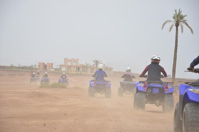 From Marrakech: Palm Grove Quad Bike and Camel Ride Tour - Price and Value: What You’re Paying For at $52.14