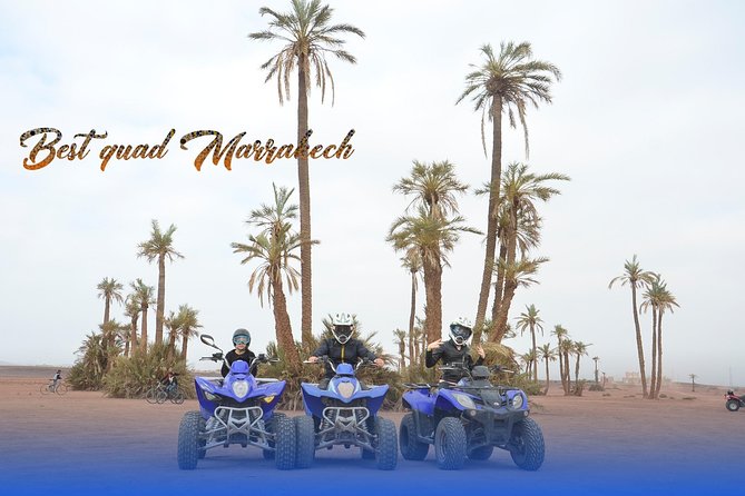 From Marrakech: Palm Grove Quad Bike and Camel Ride Tour - Timing Choices: Afternoon Starts, Heat, and Cold Mornings
