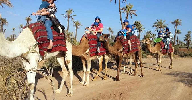 From Marrakech: Palm Grove Quad Bike and Camel Ride Tour - On the Quads: Safety Talk, Riding Time, and Dust Reality