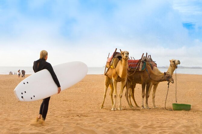 From Marrakech To Essaouira Mogador Full Day Trip | Small-group - Quick Takes: What You’ll Notice Right Away