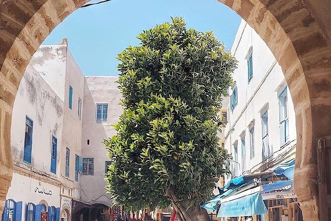From Marrakech To Essaouira Mogador Full Day Trip | Small-group - Price and Value: What $17.61 Buys You (and What It Doesn’t)