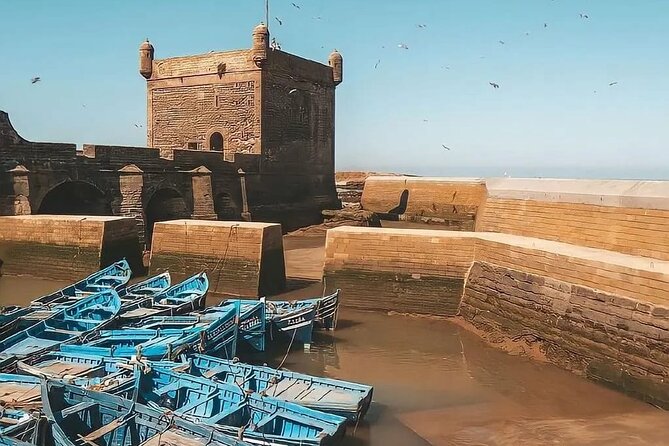 From Marrakech To Essaouira Mogador Full Day Trip | Small-group - Who Should Book This Trip (and Who Might Not Enjoy It)