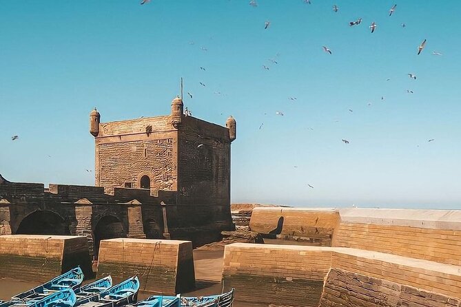 From Marrakech To Essaouira Mogador Full Day Trip | Small-group - A Note on Drivers: The Human Difference