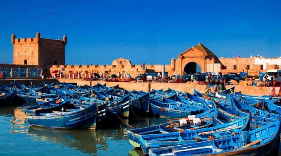 From Marrakech To Essaouira Mogador Full Day Trip Smallgroup - Key highlights to look for on this trip