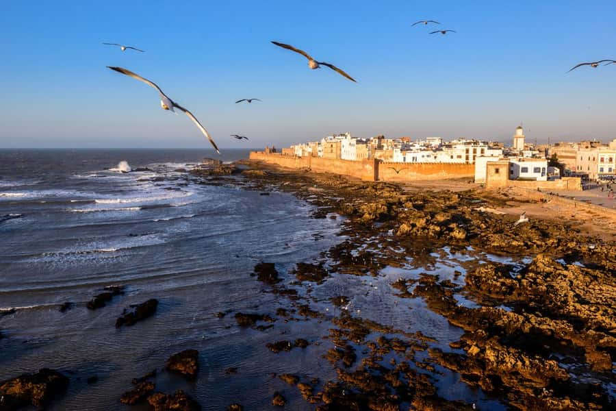 From Marrakech To Essaouira Mogador Full Day Trip Smallgroup - Panoramic views and arriving the right way: port first, crowds later