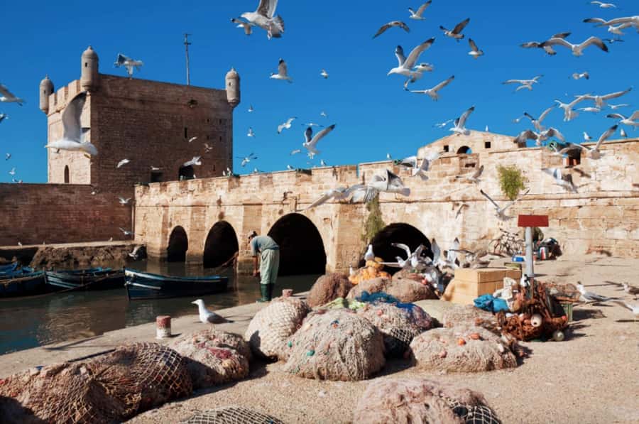 From Marrakech To Essaouira Mogador Full Day Trip Smallgroup - The Essaouira port and old medina: walk it your way with real time