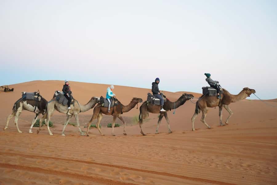 From Marrakech to Fes 3-Day Luxrury Tour via Sahara Desert - Day 2: Todra Gorges to Merzouga, Then Erg Chebbi Camels and a Starry Camp