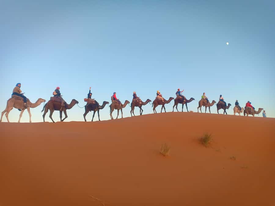 From Marrakech to Fes 3-Day Luxrury Tour via Sahara Desert - Who This Tour Fits Best