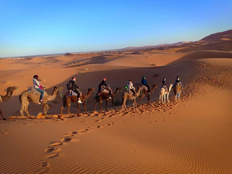 From Marrakech to Fes 3-Day Luxrury Tour via Sahara Desert - Should You Book This Marrakech to Fes Sahara Desert Tour?