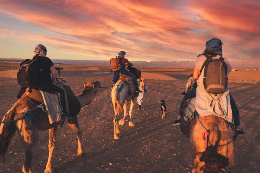 From Marrakech: Zagora 2-Day Desert Safari with Food & Camp - Ait Ben Haddou: UNESCO kasbahs with Hollywood memory triggers