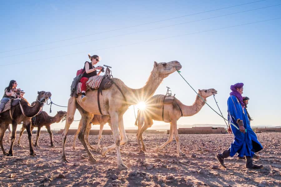 From Marrakech: Zagora 2-Day Desert Safari with Food & Camp - Agdez and the Draa Valley: palms, forts, and the long rhythm of oases