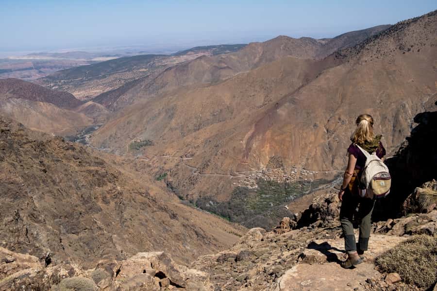 From Marrakesh: Atlas Mountains Talamrout Summit Day Hike - Pine forest to the summit: the climb that earns the top
