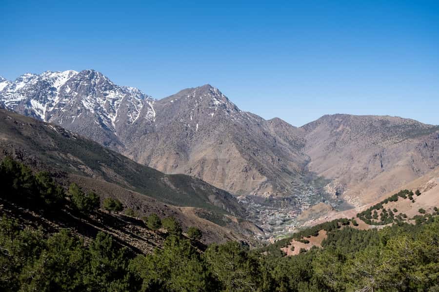 From Marrakesh: Atlas Mountains Talamrout Summit Day Hike - Should you book the Marrakech to Tizi n’Tamatert hike?