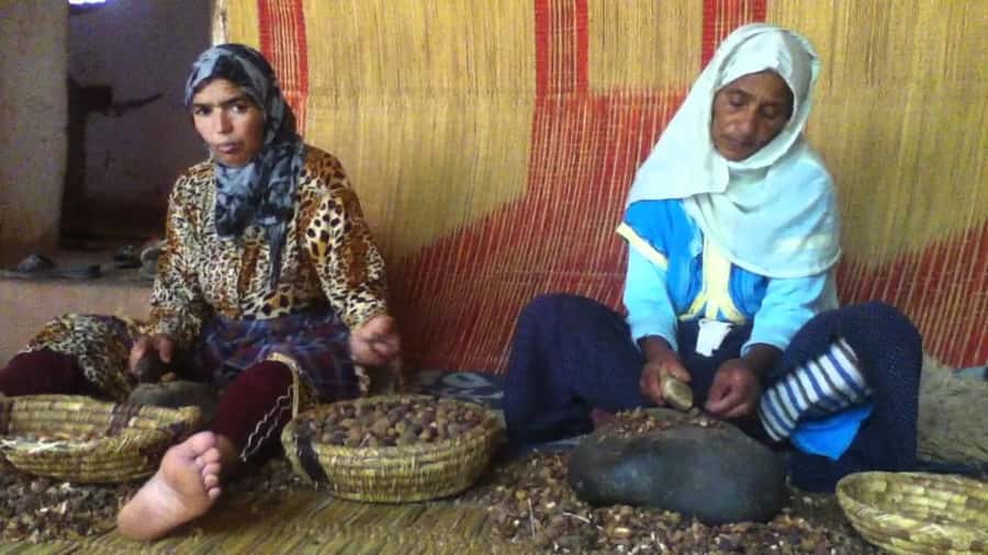 From Marrakesh: Essaouira Day Trip - Where lunch and the beach fit in: plan food yourself, keep the day easy