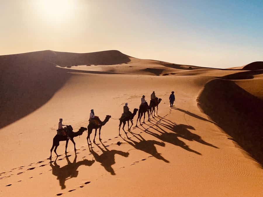 From Merzouga: Overnight Camel Trek over Erg Chebbi Dunes - Tagine dinner, drum party, and Berber tent sleep