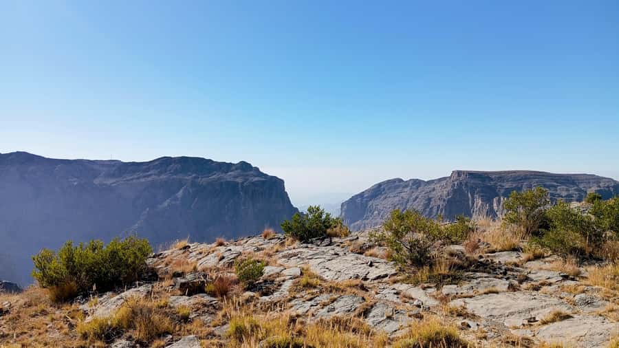From Muscat: Nizwa and Jebel Akhdar Tour with Lunch - Nizwa Souq: smells, crafts, and why this town still matters