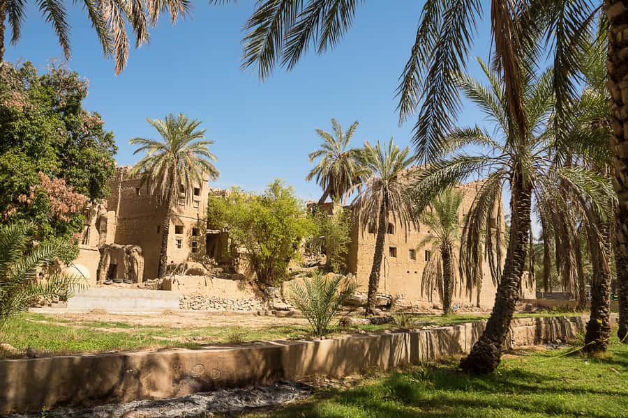 From Muscat: Nizwa and Oman's Historical Gems Tour - Oman Across Ages Museum: design, awards, and a break from the road