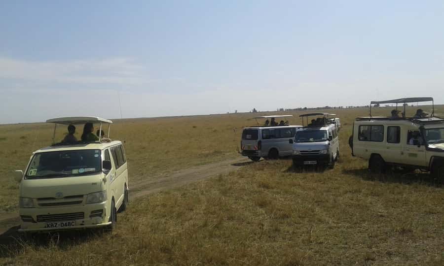From Nairobi: 3 Days, 2 Nights Maasai Mara Group Safari - Key things that make this safari work