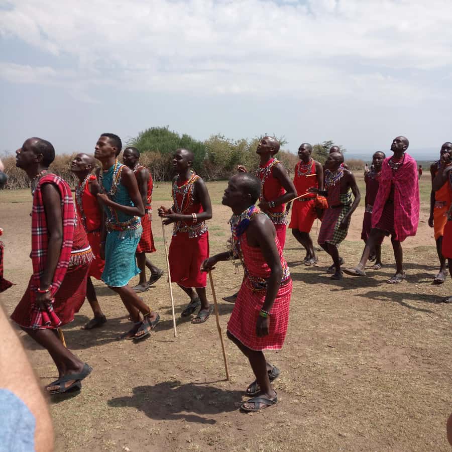 From Nairobi: 3 Days, 2 Nights Maasai Mara Group Safari - Road, group size, and comfort tradeoffs you should know