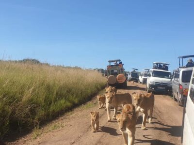 From Nairobi: 3 Days, 2 Nights Maasai Mara Group Safari - Private tent comfort inside Maasai Mara (with hot water and toilets)