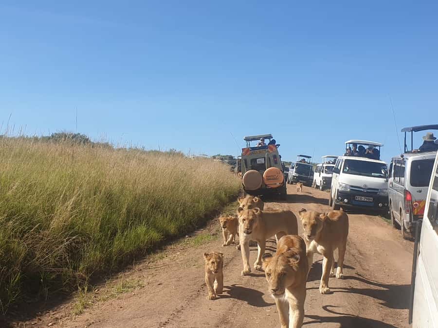 From Nairobi: 3 Days, 2 Nights Maasai Mara Group Safari - Private tent comfort inside Maasai Mara (with hot water and toilets)