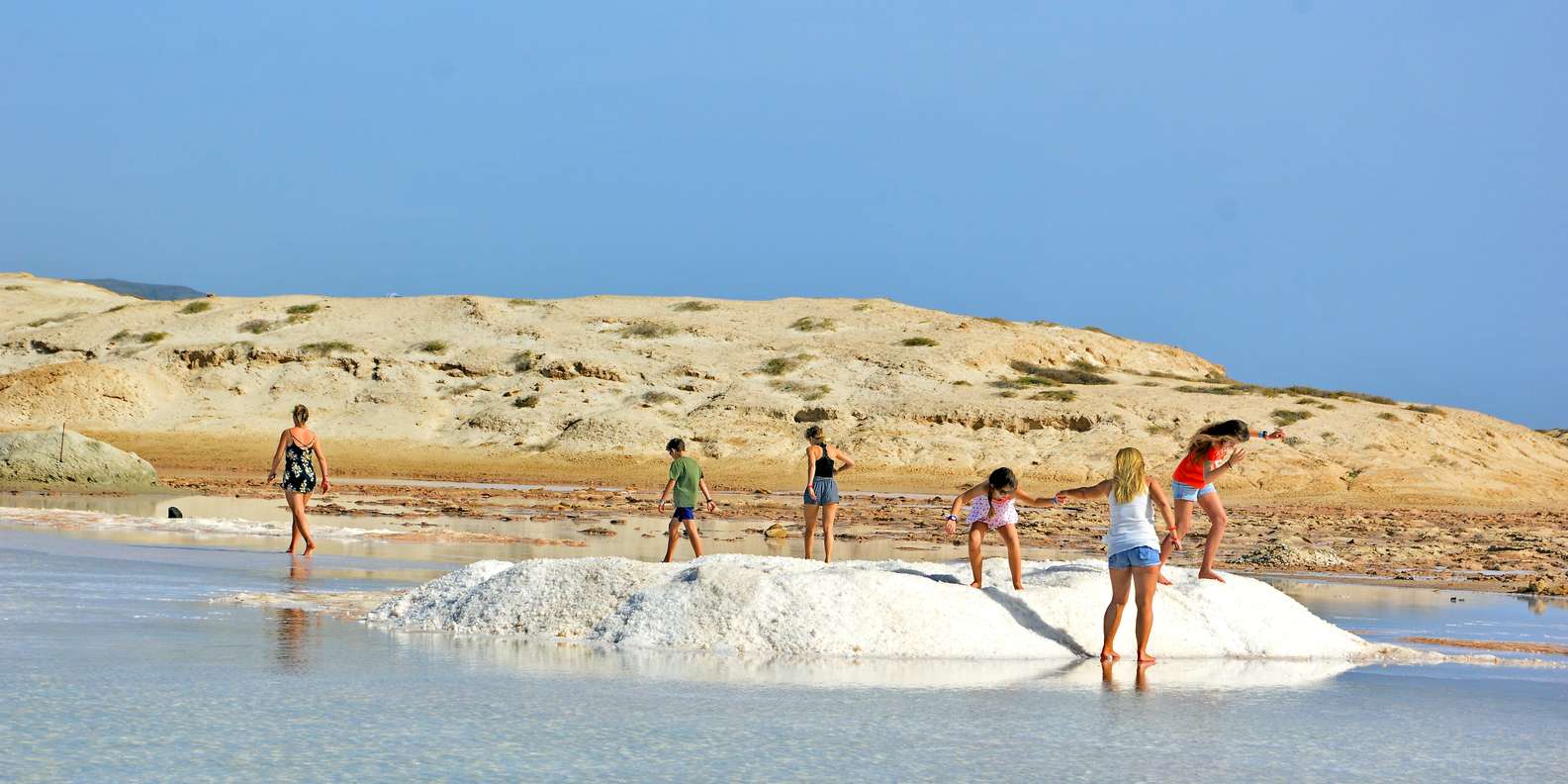 From Sal Island: Blu eye, Salt lake, Lemon Sharks & Palmeira - Shark Bay lemon sharks at Parda Bay: close enough to feel the moment