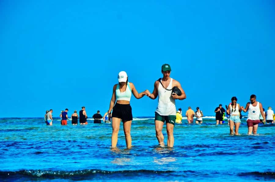 From Sal Island: Blue Eye, Salt Lake, Lemon Sharks, Palmeira - Key highlights at a glance