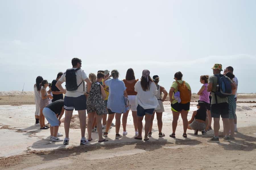 From Sal Island: Blue Eye, Salt Lake, Lemon Sharks, Palmeira - Why this Sal day tour feels like two different islands