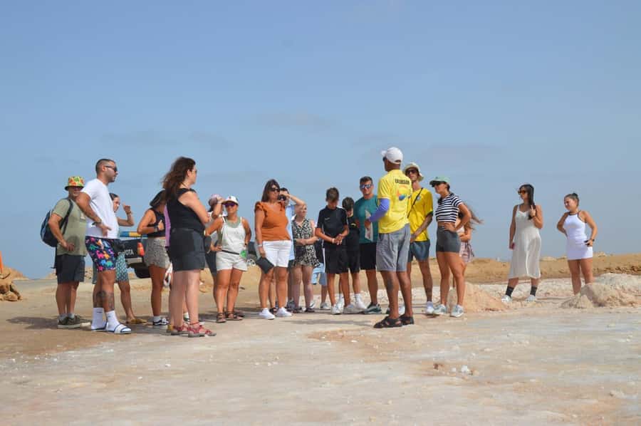 From Sal Island: Blue Eye, Salt Lake, Lemon Sharks, Palmeira - Parda Bay / Shark Bay: the lemon shark wading experience, straight and simple