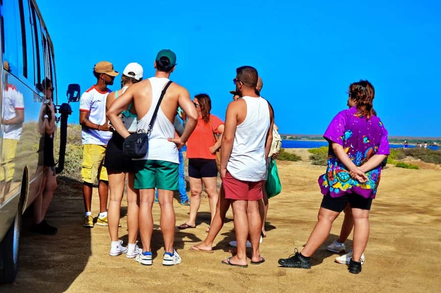 From Sal Island: Blue Eye, Salt Lake, Lemon Sharks, Palmeira - Pedra de Lume salt pans: float first, then marvel at the weirdness