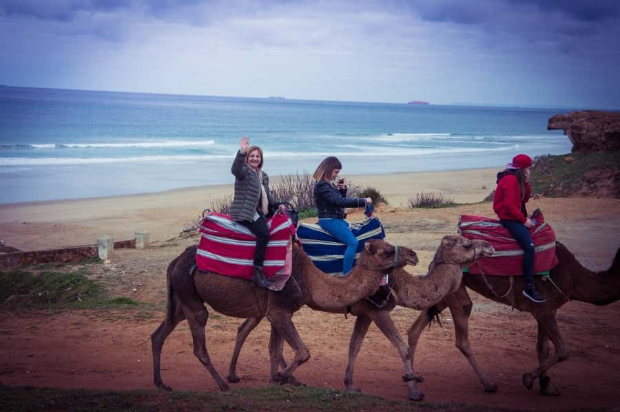 From Seville: Tangier Day Trip with Local Guide and Lunch - Seville to Tarifa: the ride that sets your whole day up