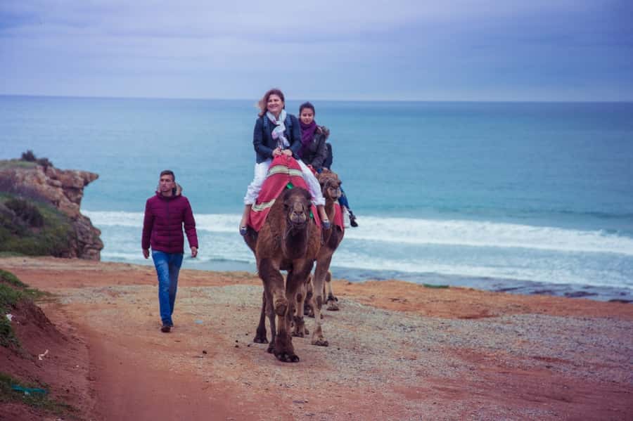From Seville: Tangier Day Trip with Local Guide and Lunch - Lunch in Tangier: what you’re paying for (and what to watch)