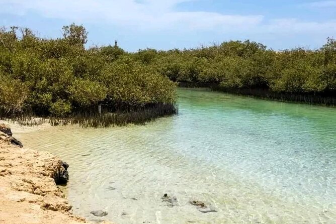 From Sharm: Ras Mohamed National Park and Magic Lake Day Tour - The Earthquake Crack and Cliff Panoramas: The Photo Stops That Make It Feel Worth It