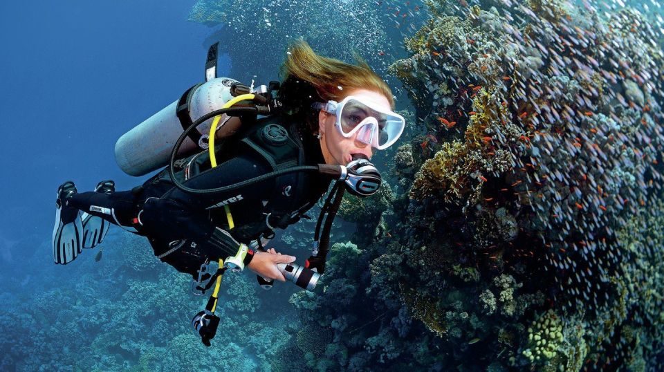 From Sharm: Ras Muhammed & White Island By Boat & intro Dive - Morning logistics from Sharm: pickup gates to yacht departure