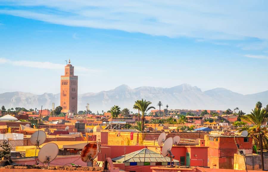 From Taghazout or Agadir: Marrakech Guided Day Trip - Koutoubia Mosque Gardens: A Calm Pause Before the Noise