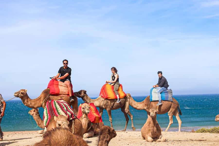 From Tangier: Full-Day Tangier, Asilah, & Cape Spartel Tour - Tangier to Asilah: how this tour moves and why it works